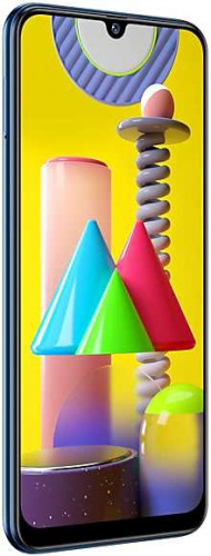 Смартфон Samsung SM-M315F Galaxy M31 128Gb 6Gb синий моноблок 3G 4G 2Sim 6.4" 1080x2340 Android 10 64Mpix 802.11 a/b/g/n/ac NFC GPS GSM900/1800 GSM1900 TouchSc MP3 microSD max512Gb фото 4