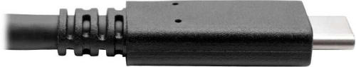 Кабель Tripplite U420-003-G2-5A USB Type-C (m)-USB Type-C (m) 0.9м черный фото 5