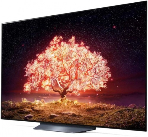 Телевизор OLED LG 65" OLED65B1RLA черный/серебристый Ultra HD 120Hz DVB-T DVB-T2 DVB-C DVB-S DVB-S2 USB WiFi Smart TV (RUS) фото 9