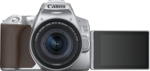 Зеркальный Фотоаппарат Canon EOS 250D серебристый 24.1Mpix EF-S 18-55mm f/1:4-5.6 IS STM 3" 4K Full HD SDXC Li-ion фото 4