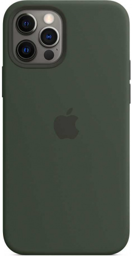 Чехол (клип-кейс) Apple для Apple iPhone 12/12 Pro Silicone Case with MagSafe зеленый кипрский (MHL33ZE/A) фото 7
