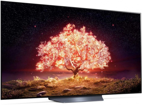 Телевизор OLED LG 65" OLED65B1RLA черный/серебристый Ultra HD 120Hz DVB-T DVB-T2 DVB-C DVB-S DVB-S2 USB WiFi Smart TV (RUS) фото 5