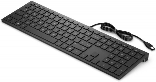 Клавиатура HP 300 RUSS черный USB slim фото 2