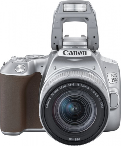 Зеркальный Фотоаппарат Canon EOS 250D серебристый 24.1Mpix EF-S 18-55mm f/1:4-5.6 IS STM 3" 4K Full HD SDXC Li-ion фото 3