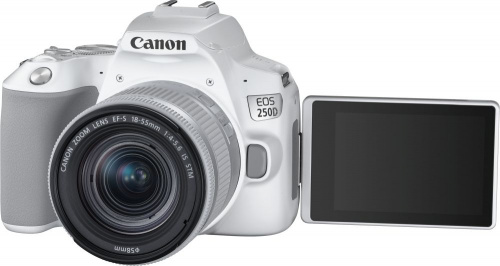 Зеркальный Фотоаппарат Canon EOS 250D белый 24.1Mpix EF-S 18-55mm f/1:4-5.6 IS STM 3" 4K Full HD SDXC Li-ion фото 6