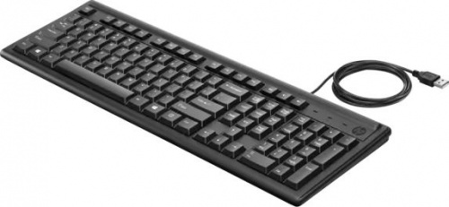 Клавиатура HP 100 черный USB фото 2