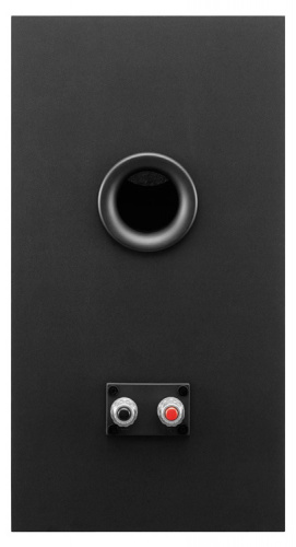 Комплект акустики Sony SS-CS5 2.0 100Вт черный фото 2