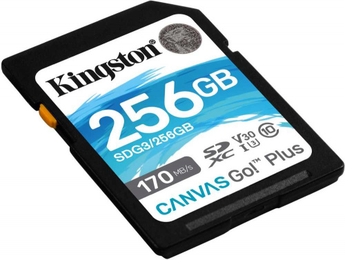 Флеш карта SDXC 256GB Kingston SDG3/256GB Canvas Go! Plus w/o adapter фото 2