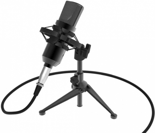 Микрофон проводной Ritmix RDM-160 25м черный фото 5